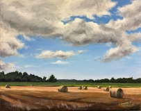 Harvest Afternoon