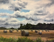 Sun on Straw Bales