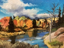 Fall Colour