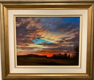 Evening Glory