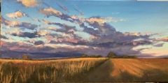 Between Harvests