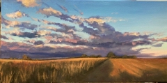 Between Harvests
