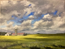 Sun Kissed Wheat
