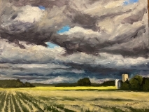 Canola in Spring