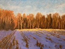 Hope of a Thaw