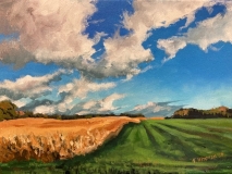 The Bountiful Land