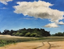 Cloud Study 4