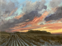 Twilight Field