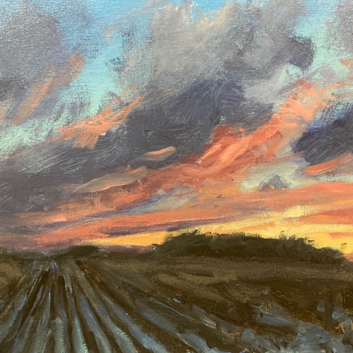 Skies